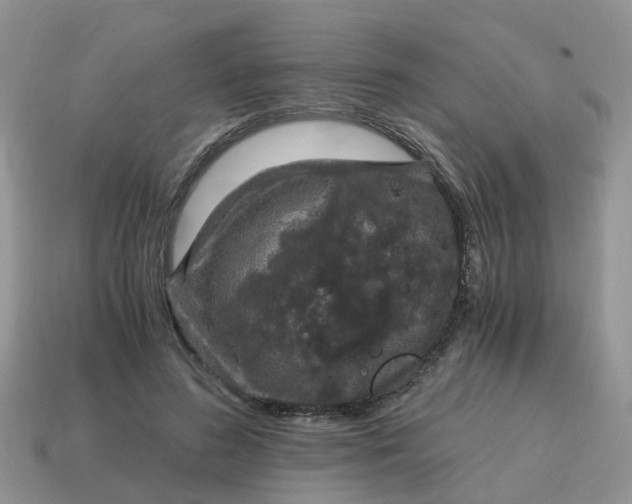 X0000115040596200911091406