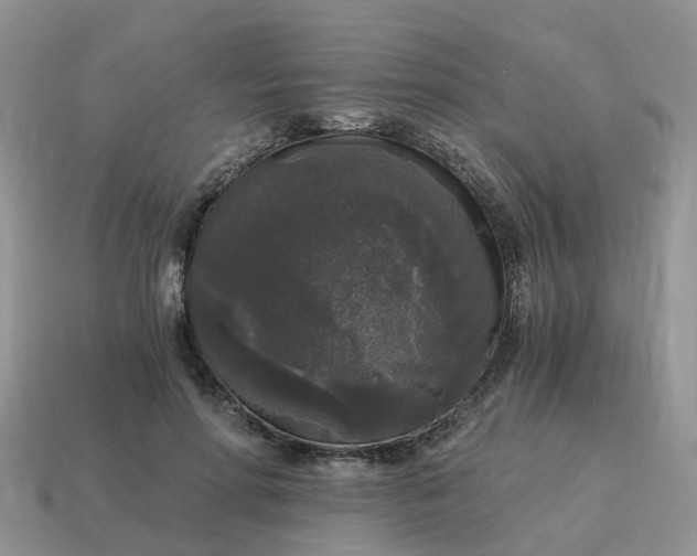 X0000115040598200911091406