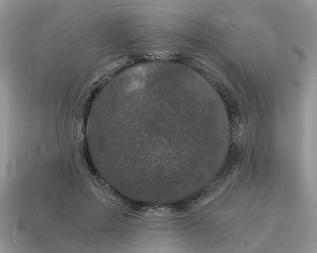 X0000115040599200911091406