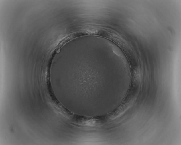 X0000115040600200911091406
