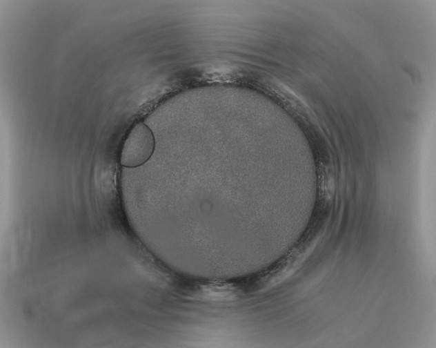 X0000115040603200911091406
