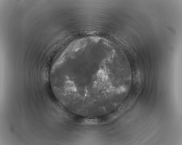 X0000115040606200911091406