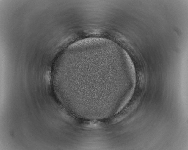 X0000115040612200911091406