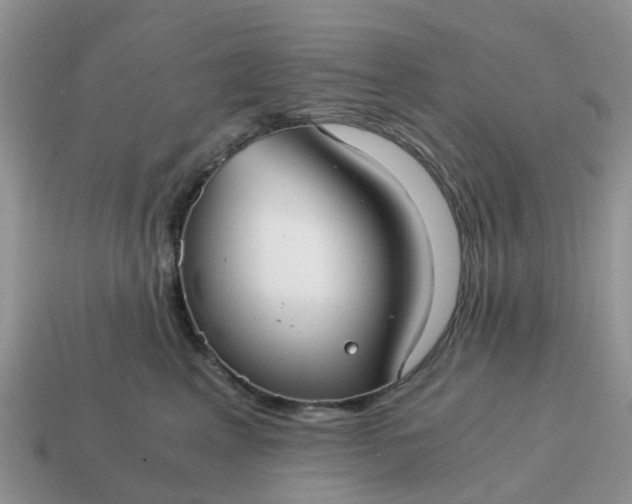 X0000115040617200911091406