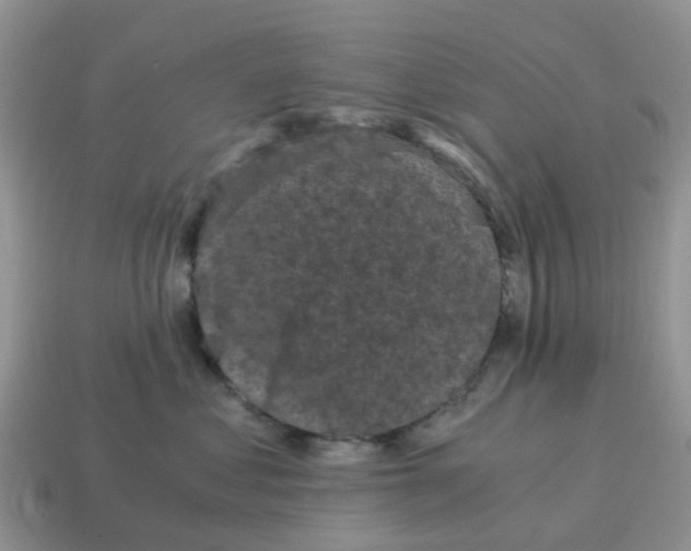 X0000115040621200911091406