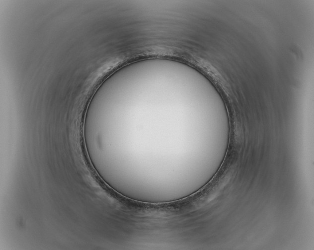 X0000115040625200911091405