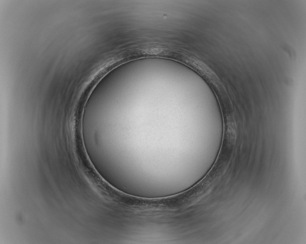 X0000115040626200911091405