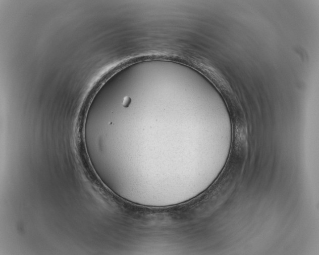 X0000115040628200911091405