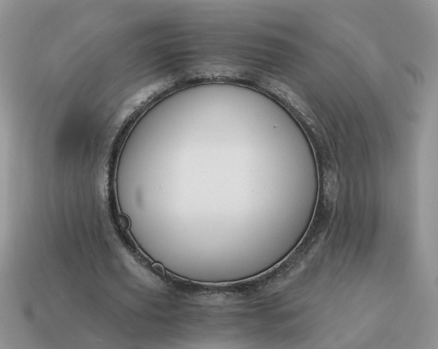 X0000115040629200911091405