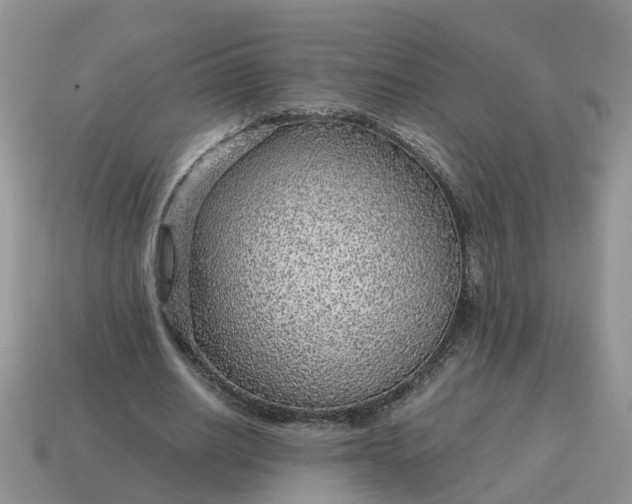 X0000115040630200911091405