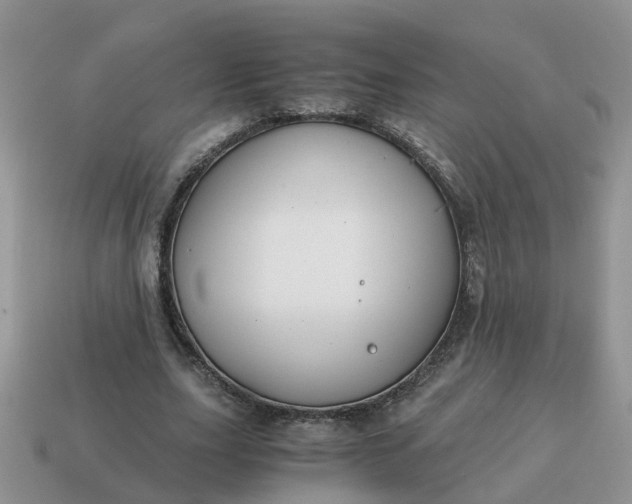 X0000115040631200911091405