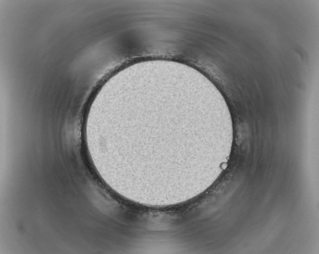 X0000115040632200911091405