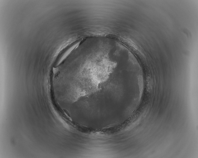 X0000115040634200911091405