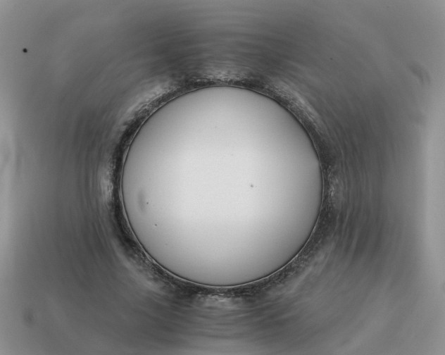 X0000115040635200911091405
