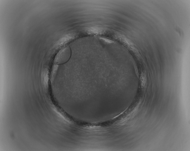 X0000115040637200911091405