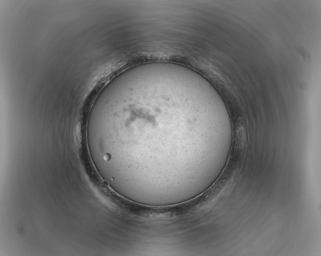 X0000115040638200911091405