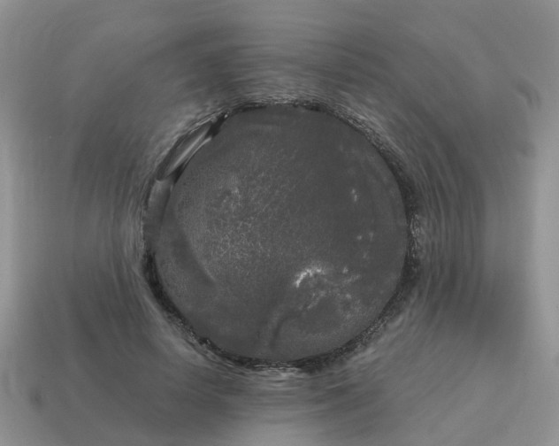 X0000115040642200911091405