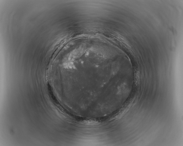 X0000115040644200911091405