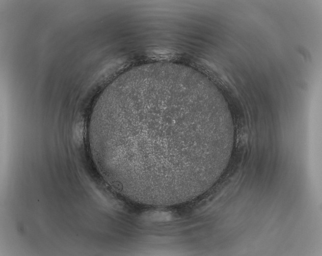 X0000115040647200911091406