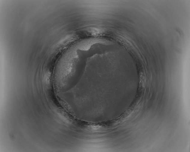 X0000115040650200911091406