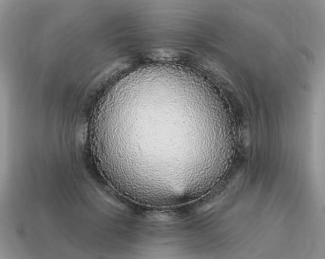 X0000115040652200911091406