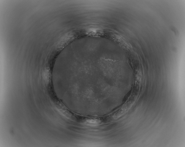 X0000115040659200911091406