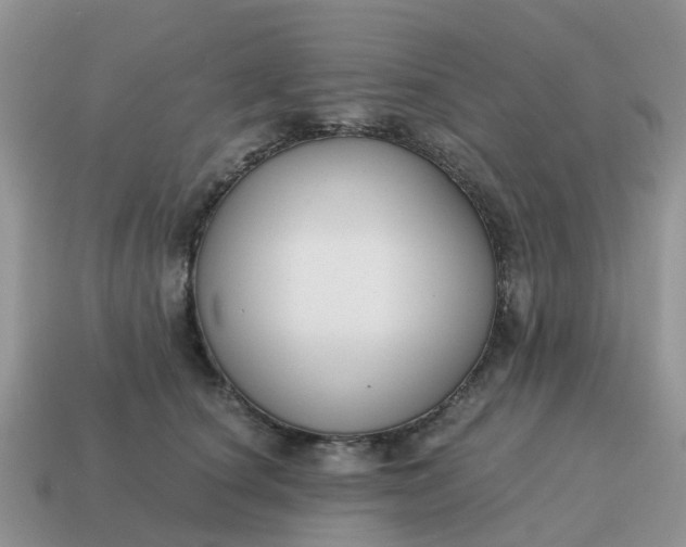 X0000115040660200911091406