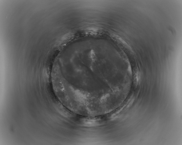 X0000115040661200911091406