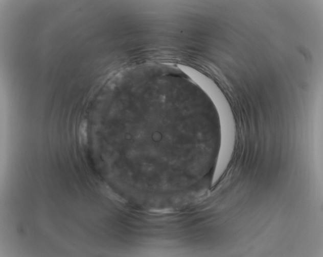 X0000115040669200911091406