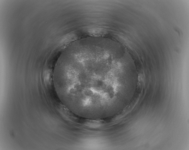 X0000115040671200911091406