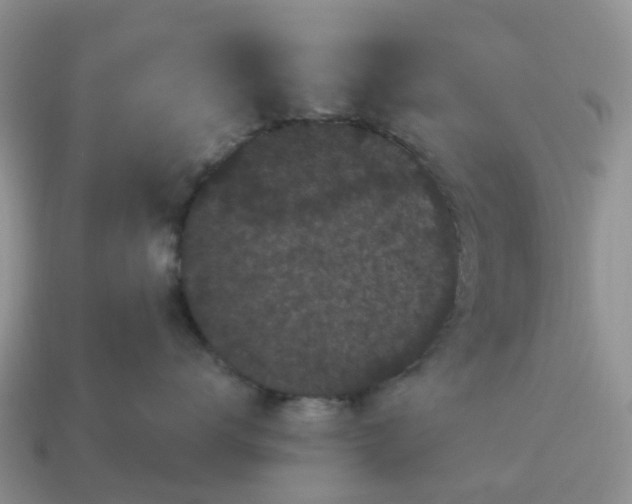X0000115040672200911091406
