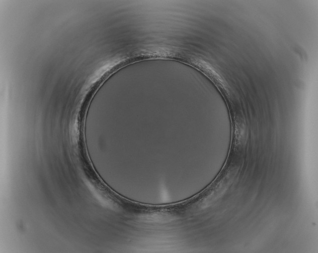 X0000115040674200911091405