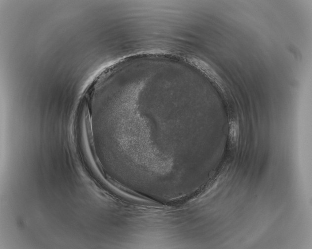 X0000115040676200911091405