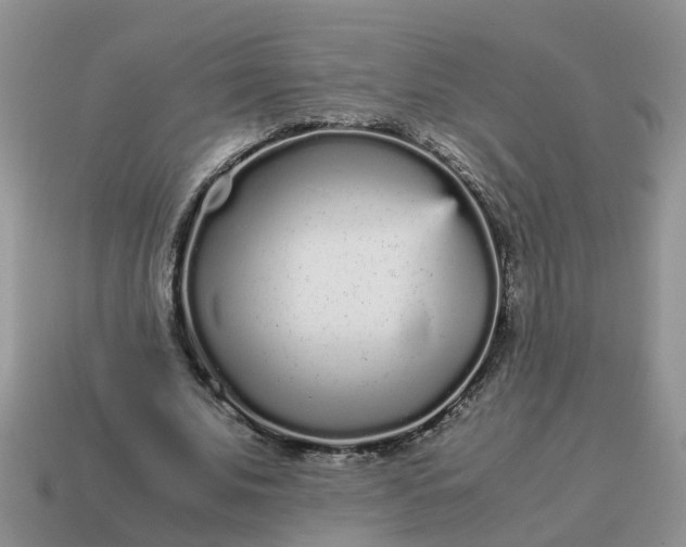 X0000115040679200911091405