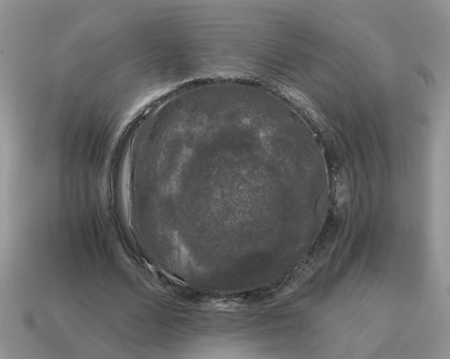 X0000115040680200911091405
