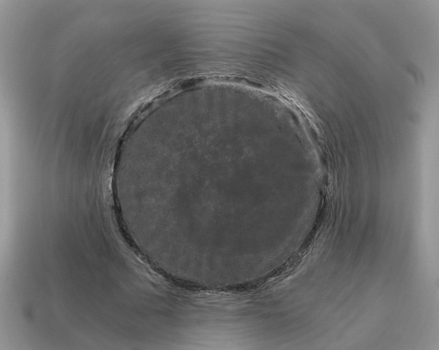 X0000115040681200911091405