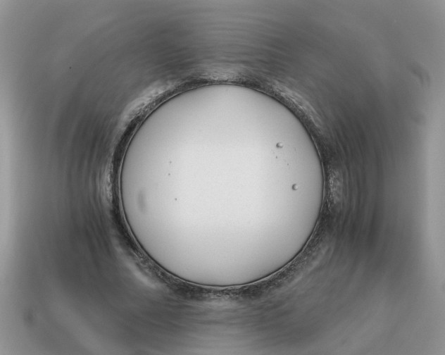 X0000115040682200911091405