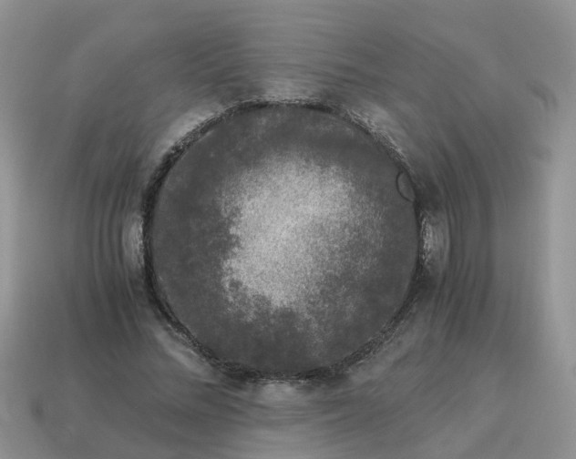 X0000115040684200911091405