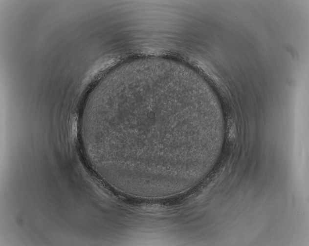 X0000115040685200911091405