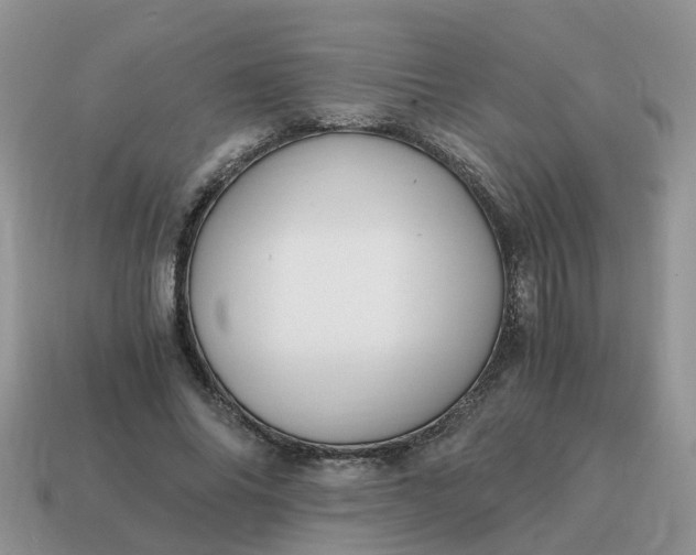 X0000115040686200911091405
