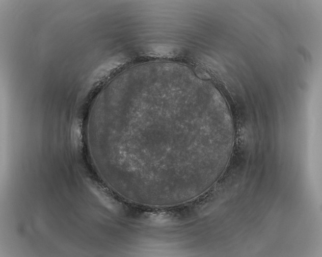 X0000115040688200911091405