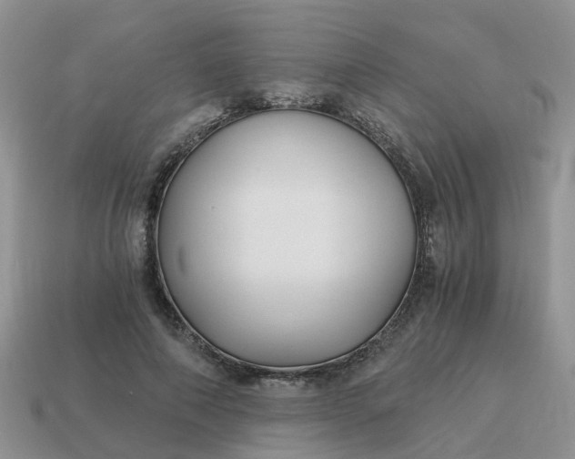 X0000115040690200911091405