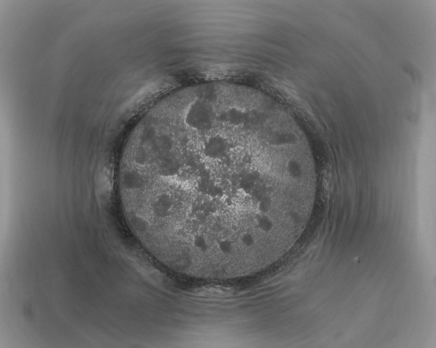 X0000115040691200911091405