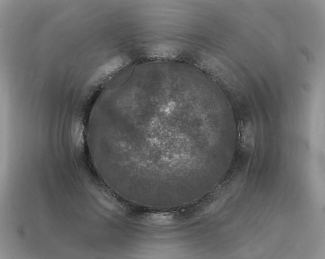 X0000115040692200911091405