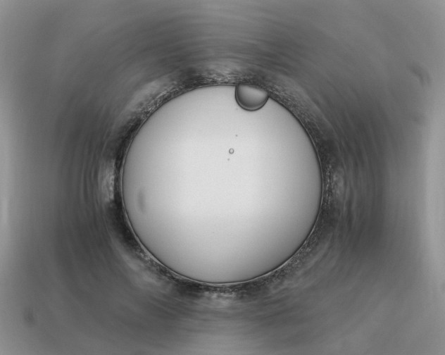 X0000115040694200911091405