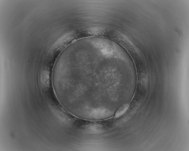 X0000115040696200911091405
