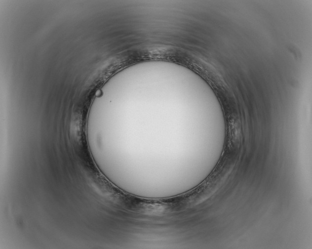 X0000115040698200911091405