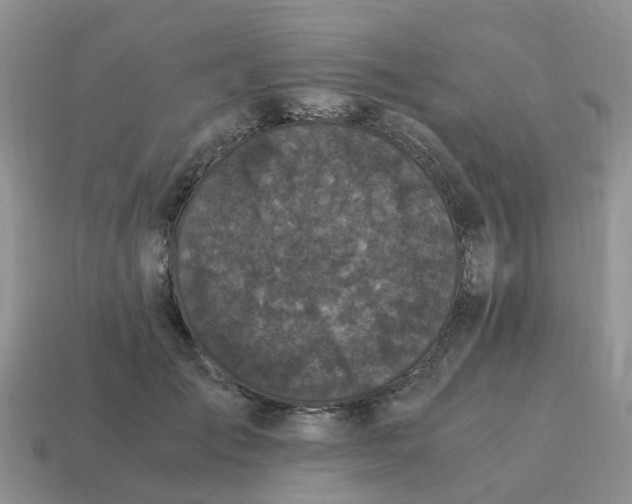 X0000115040701200911091405