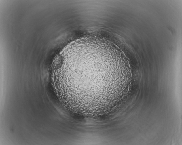 X0000115040703200911091405