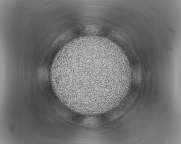 X0000115040705200911091405
